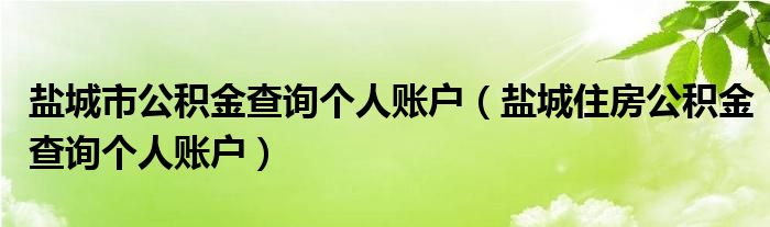 盐城市公积金查询个人账户（盐城住房公积金查询个人账户）