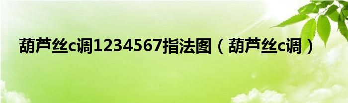 葫芦丝c调1234567指法图（葫芦丝c调）