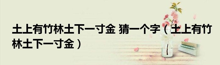 土上有竹林土下一寸金 猜一个字（土上有竹林土下一寸金）