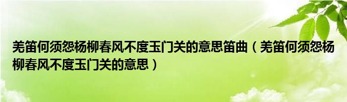 羌笛何须怨杨柳春风不度玉门关的意思笛曲（羌笛何须怨杨柳春风不度玉门关的意思）