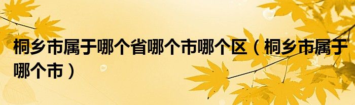 桐乡市属于哪个省哪个市哪个区（桐乡市属于哪个市）