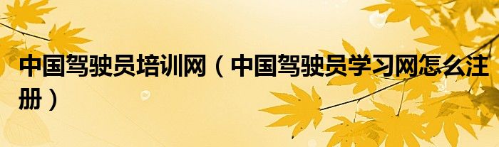 中国驾驶员培训网（中国驾驶员学习网怎么注册）