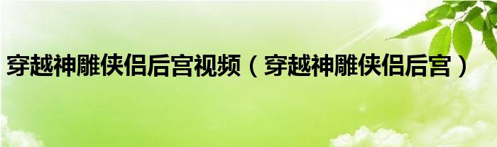 穿越神雕侠侣后宫视频（穿越神雕侠侣后宫）