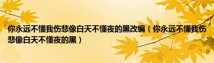 你永远不懂我伤悲像白天不懂夜的黑改编（你永远不懂我伤悲像白天不懂夜的黑）