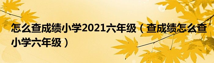 怎么查成绩小学2021六年级（查成绩怎么查小学六年级）