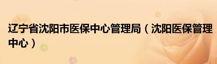 辽宁省沈阳市医保中心管理局（沈阳医保管理中心）