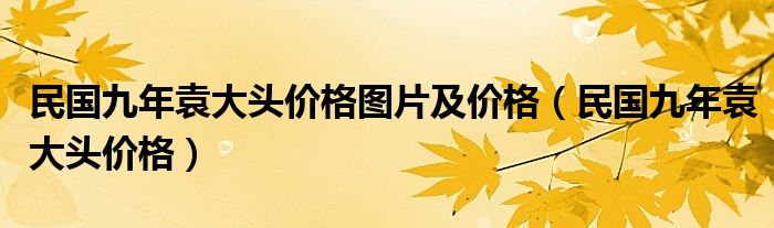 民国九年袁大头价格图片及价格（民国九年袁大头价格）