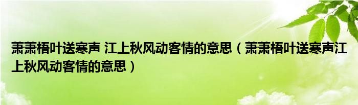 萧萧梧叶送寒声 江上秋风动客情的意思（萧萧梧叶送寒声江上秋风动客情的意思）