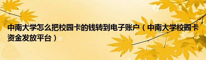 中南大学怎么把校园卡的钱转到电子账户（中南大学校园卡资金发放平台）