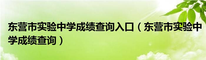 东营市实验中学成绩查询入口（东营市实验中学成绩查询）