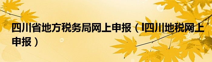 四川省地方税务局网上申报（l四川地税网上申报）