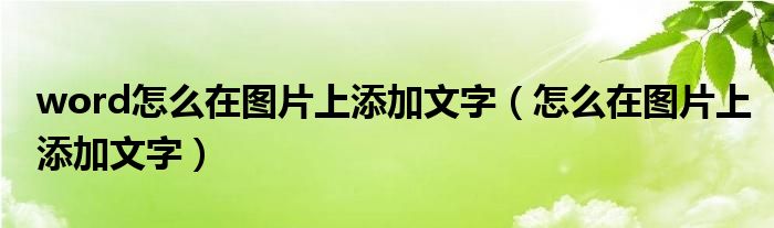 word怎么在图片上添加文字（怎么在图片上添加文字）