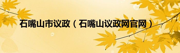 石嘴山市议政（石嘴山议政网官网）