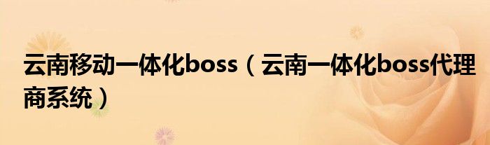 云南移动一体化boss（云南一体化boss代理商系统）