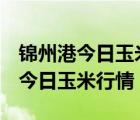 锦州港今日玉米行情2024年1月9日（锦州港今日玉米行情）