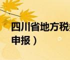 四川省地方税务局网上申报（l四川地税网上申报）