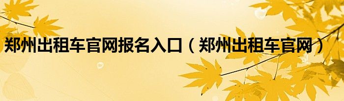 郑州出租车官网报名入口（郑州出租车官网）