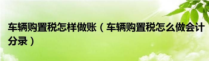 车辆购置税怎样做账（车辆购置税怎么做会计分录）