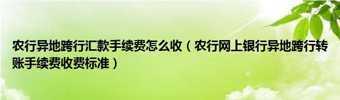 农行异地跨行汇款手续费怎么收（农行网上银行异地跨行转账手续费收费标准）