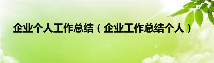 企业个人工作总结（企业工作总结个人）