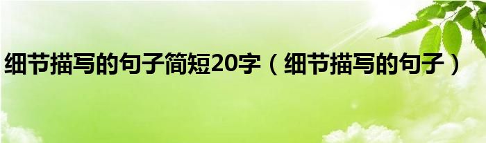 细节描写的句子简短20字（细节描写的句子）