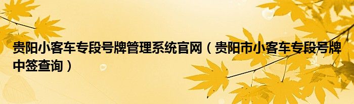 贵阳小客车专段号牌管理系统官网（贵阳市小客车专段号牌中签查询）