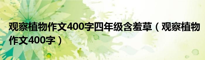 观察植物作文400字四年级含羞草（观察植物作文400字）