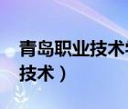 青岛职业技术学院招生官网2023（青岛职业技术）