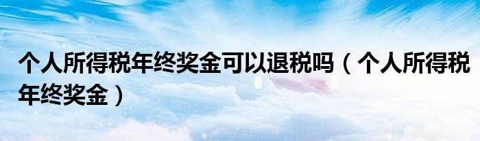 个人所得税年终奖金可以退税吗（个人所得税年终奖金）