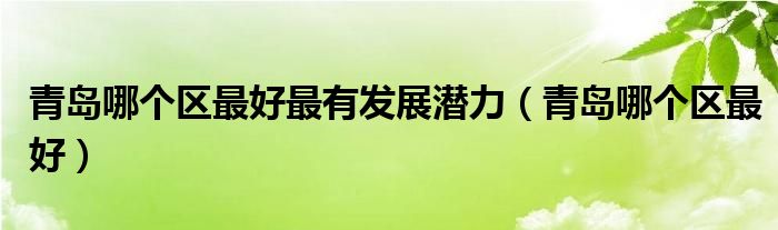 青岛哪个区最好最有发展潜力（青岛哪个区最好）