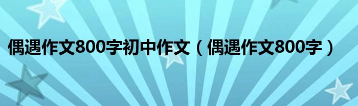 偶遇作文800字初中作文（偶遇作文800字）