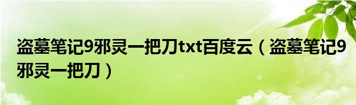 盗墓笔记9邪灵一把刀txt百度云（盗墓笔记9邪灵一把刀）