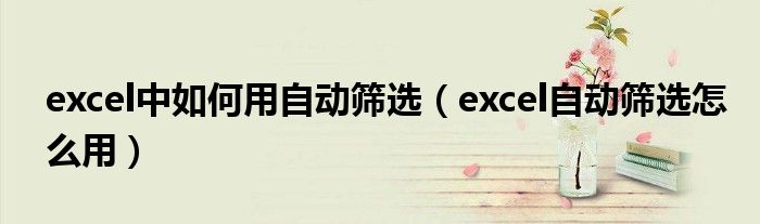 excel中如何用自动筛选（excel自动筛选怎么用）