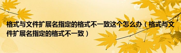 格式与文件扩展名指定的格式不一致这个怎么办（格式与文件扩展名指定的格式不一致）