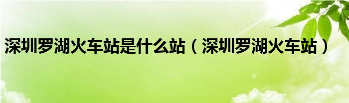 深圳罗湖火车站是什么站（深圳罗湖火车站）