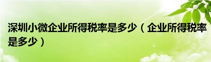 深圳小微企业所得税率是多少（企业所得税率是多少）