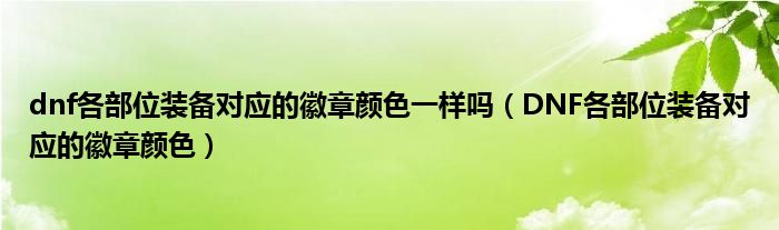 dnf各部位装备对应的徽章颜色一样吗（DNF各部位装备对应的徽章颜色）