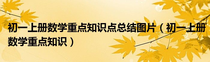 初一上册数学重点知识点总结图片（初一上册数学重点知识）