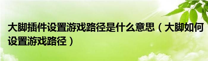 大脚插件设置游戏路径是什么意思（大脚如何设置游戏路径）