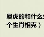 属虎的和什么生肖相克?（生肖属虎的人与哪个生肖相克）