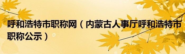 呼和浩特市职称网（内蒙古人事厅呼和浩特市职称公示）