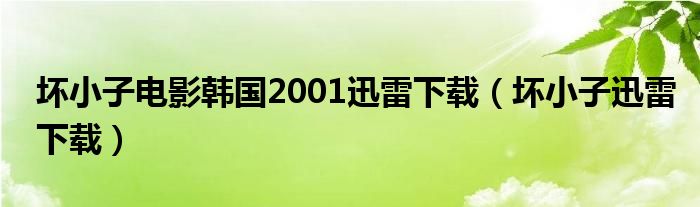 坏小子电影韩国2001迅雷下载（坏小子迅雷下载）