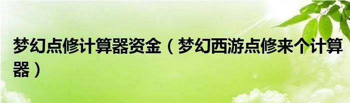 梦幻点修计算器资金（梦幻西游点修来个计算器）