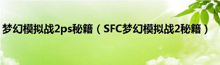 梦幻模拟战2ps秘籍（SFC梦幻模拟战2秘籍）