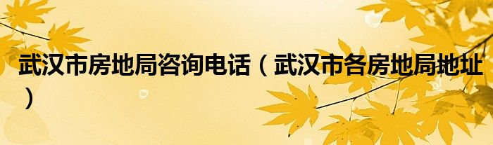 武汉市房地局咨询电话（武汉市各房地局地址）