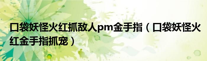 口袋妖怪火红抓敌人pm金手指（口袋妖怪火红金手指抓宠）