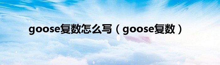 goose复数怎么写（goose复数）