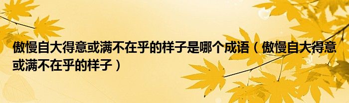 傲慢自大得意或满不在乎的样子是哪个成语（傲慢自大得意或满不在乎的样子）