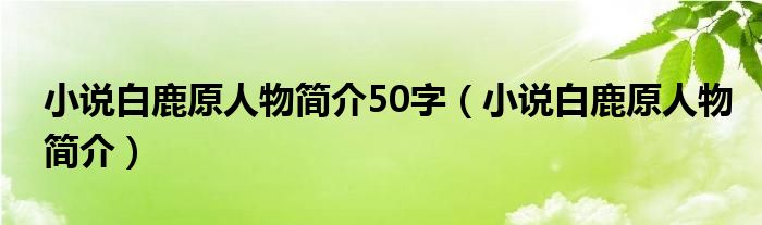 小说白鹿原人物简介50字（小说白鹿原人物简介）