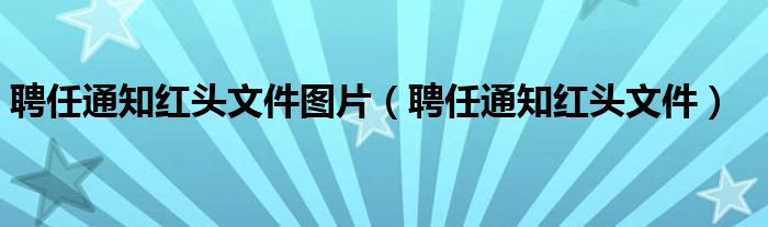 聘任通知红头文件图片（聘任通知红头文件）